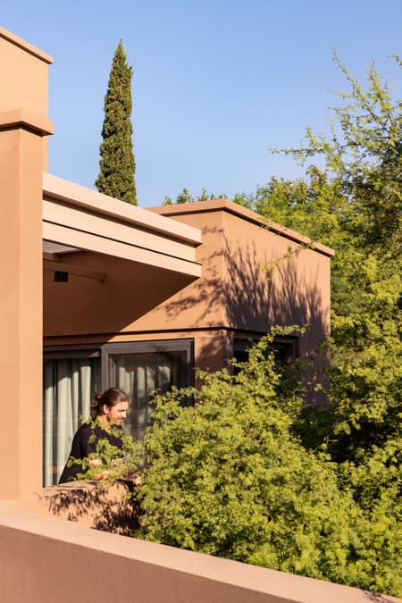 House around the Tree